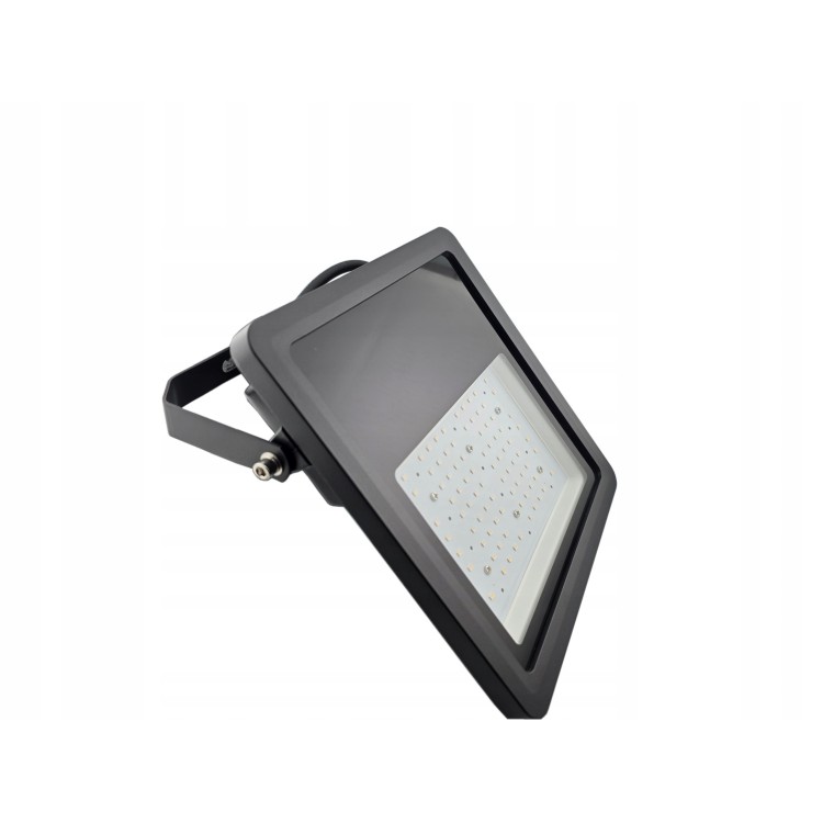 Floodlight Standard halogen 60W
